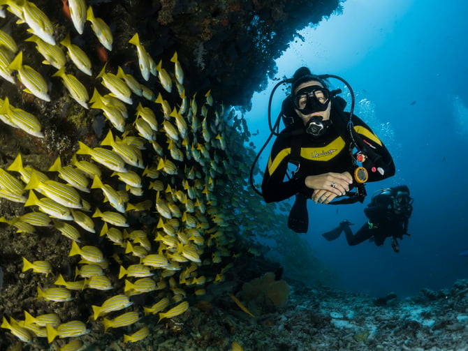 Scuba Diving